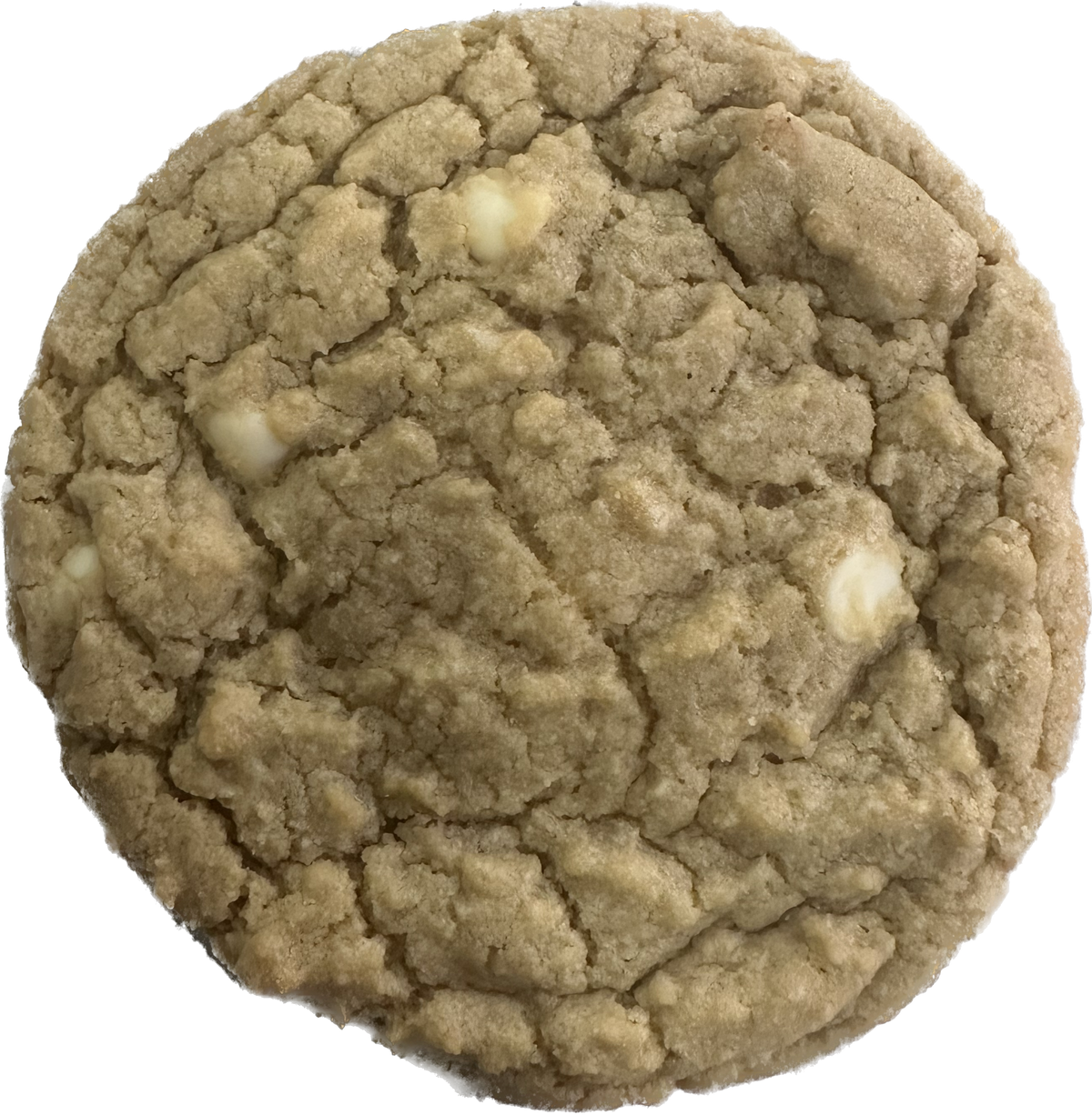 Cookie 6